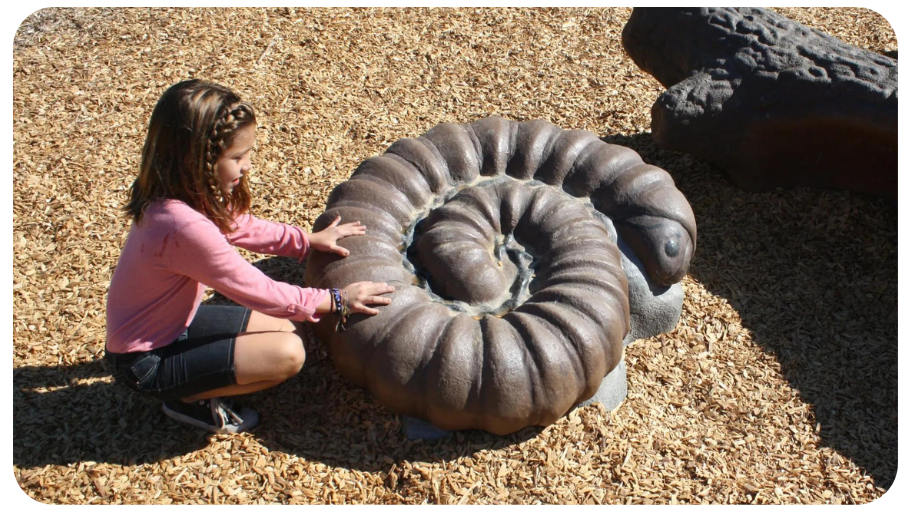 ant hill (3)