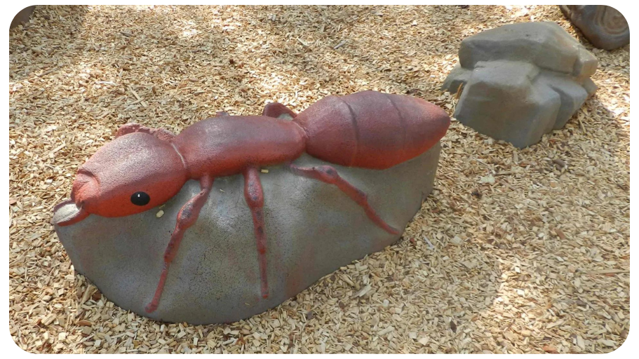 ant hill (5)