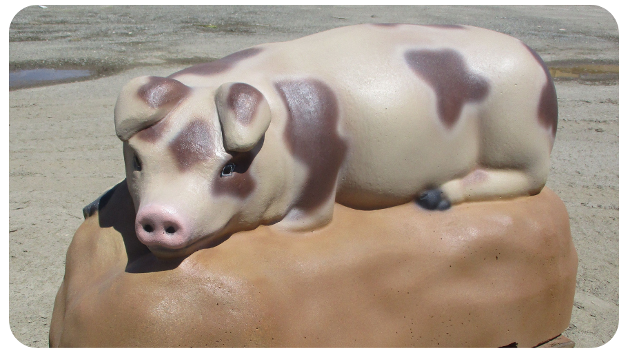 pig pen (3)