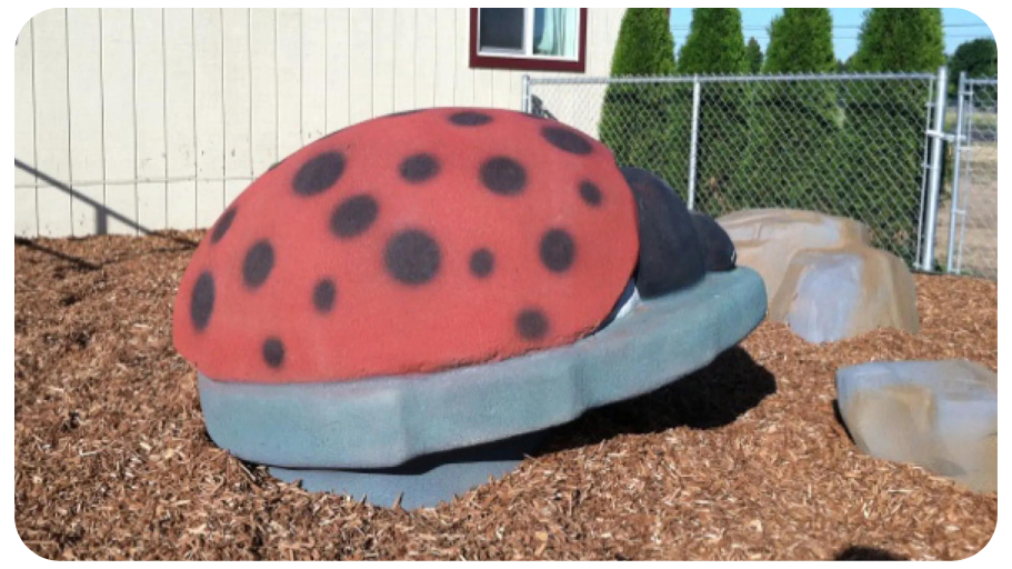 lady bug