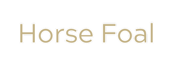 Mama Horse (2)